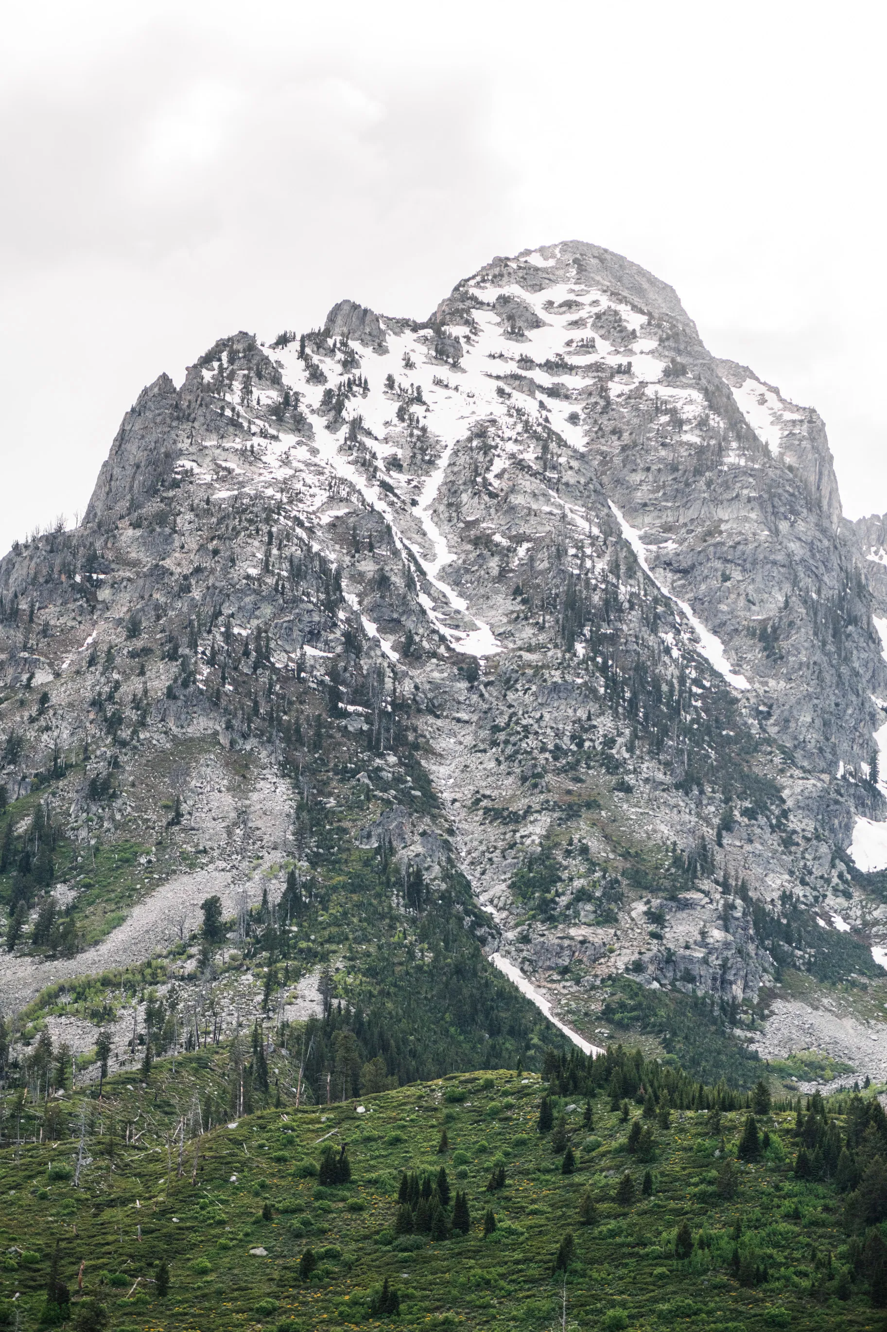 A craggy granite peak streaked with late snow above green forested slopes