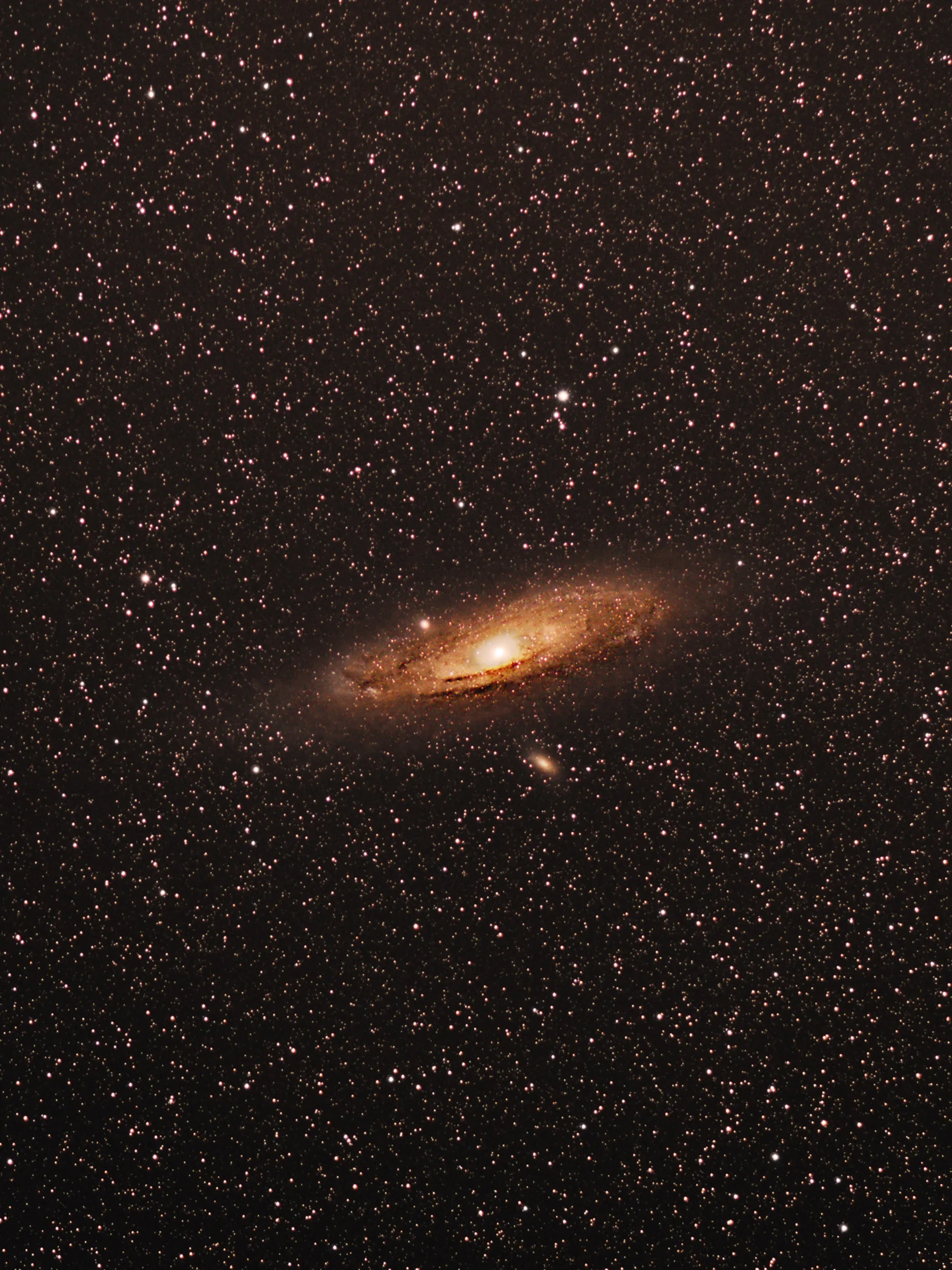 The Andromeda Galaxy, a glowing oval spiral with a bright golden core and a small companion galaxy below, surrounded by countless stars