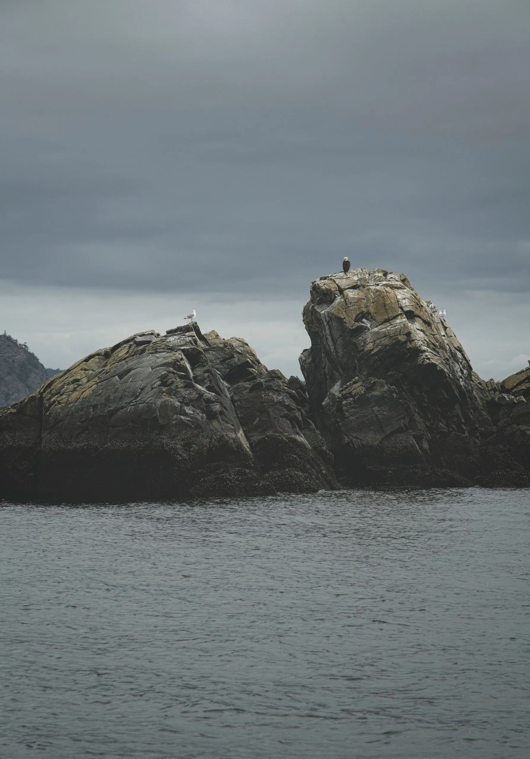 An eagle perched atop a dark, rugged sea stack rising from grey water under an overcast sky, a gull resting lower on the rocks