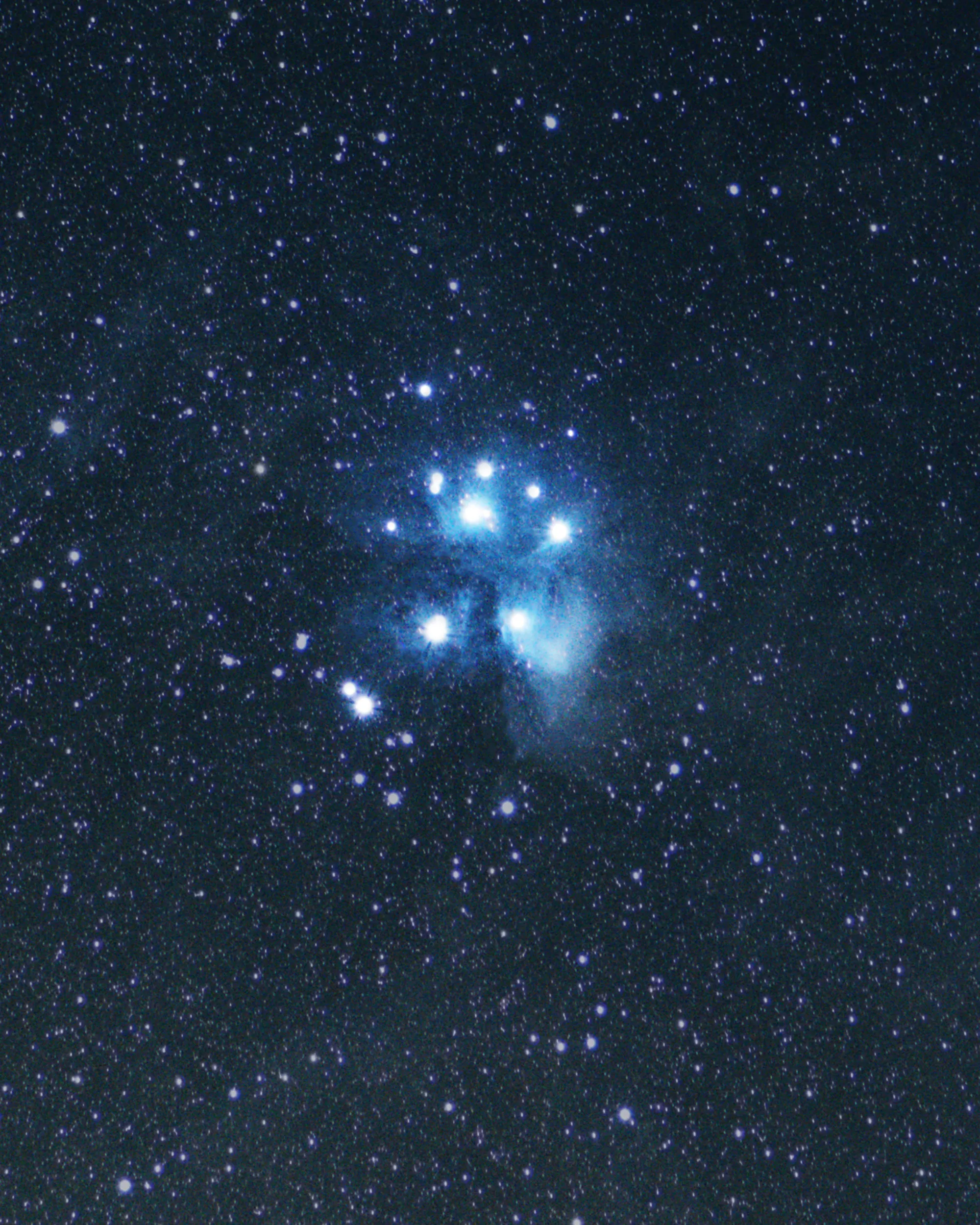 The Pleiades star cluster: bright blue stars wrapped in faint blue nebulosity against a dense star field