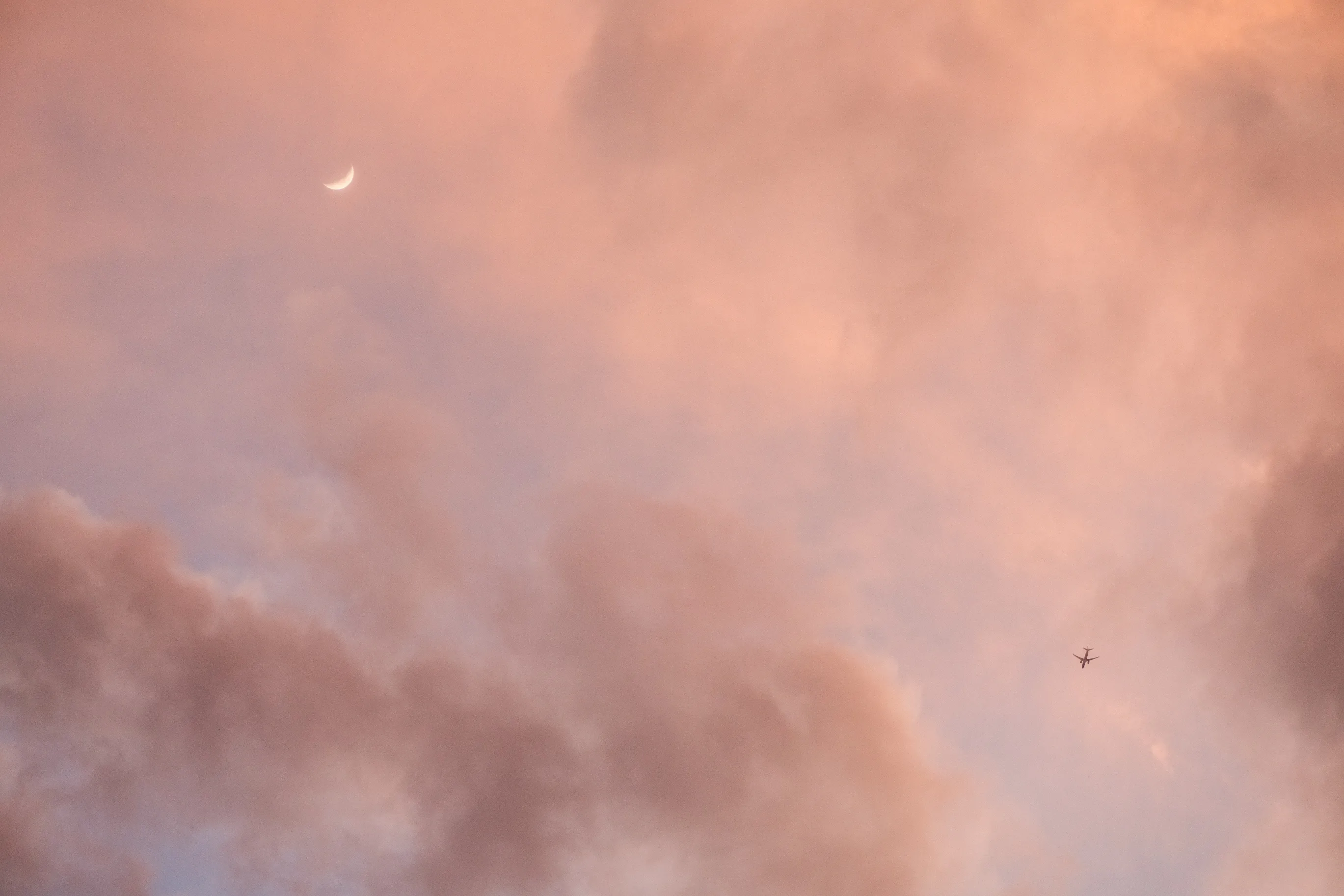 Soft pink clouds at dusk with a thin crescent moon and a distant airliner